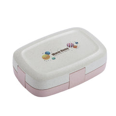Double Layer Lunch Box Student Bento Tableware Set