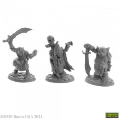 Bones Dungeon Dwellers: Goblin Elites (3)