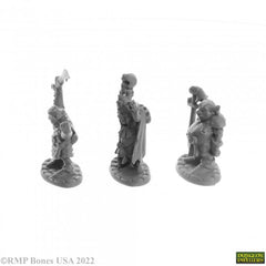 Bones Dungeon Dwellers: Goblin Elites (3)