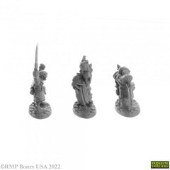 Bones Dungeon Dwellers: Goblin Elites (3)
