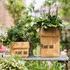 Cement Brown Paper Box Flowerpot Creative Planting Indoor Balcony