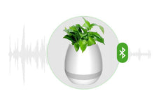 Music Flowerpot