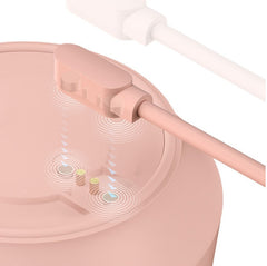 Portable Rechargeable Juicer for Smoothies and Juices On-the-Go