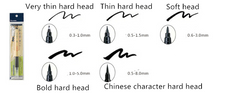 Beautiful Writing Calligraphy Practice Pen