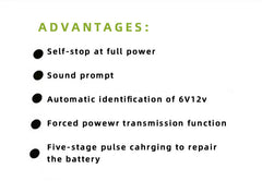 Automobile Battery Charger 12V24V
