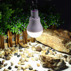 Outdoor Light Solar Lamp