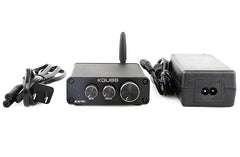 Bluetooth 5.0 HIFI Fever 50W*2 Digital Power Amplifier