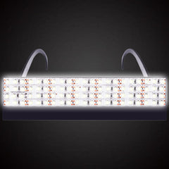 LED light emitting glasses