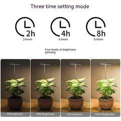USB Angel Ring Plant Lamp Timing Dimming Height