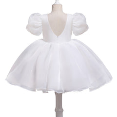 Girl's Dress Puffy Gauze Princess Dress Flower Girl Cute Gao Ding Little Host Piano Playing Performance Costumes