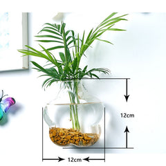 Creative Hydroponic Hanging Transparent Glass Vase