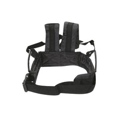 Electric car safety harness