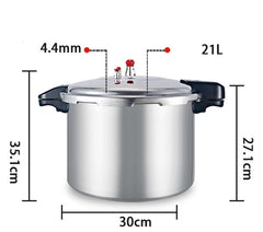 Sleek, Modern, High-Capacity Gas Induction Cooker – A Universal Design