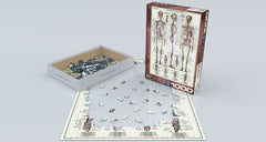 Puzzle: Anatomy & Science Charts  - The Skeletal System