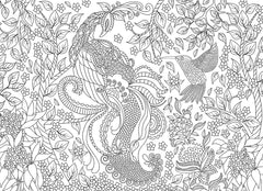 Puzzle: Color-Me Collection - Tropical Birds