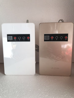 Household ozone generator