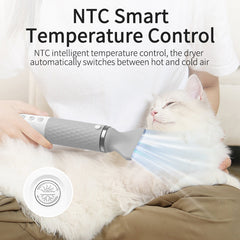 New Portable 2-in-1 Pet Hair Dryer