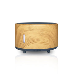 Outdoor Camping Bluetooth Music Flame Humidifier