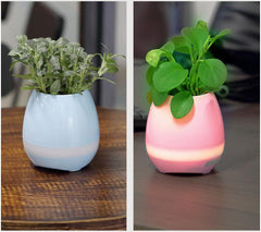 Music Flowerpot