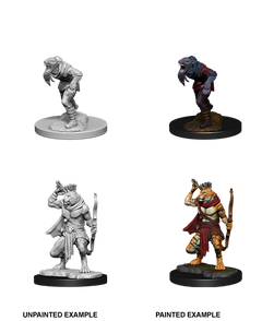 D&D: Nolzur's Marvelous Miniatures - Wererat & Weretiger