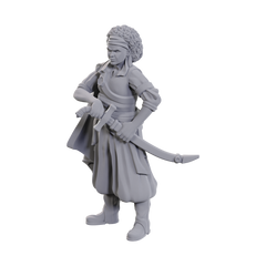 D&D: Nolzur's Marvelous Miniatures - Ansalon Human Rogue