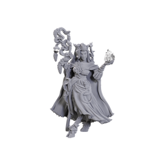 D&D: Critical Role Miniatures - Fearne Calloway & Mister