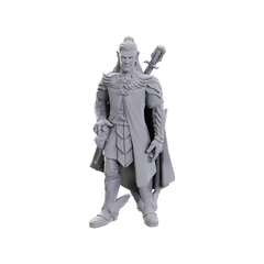 D&D: Critical Role Miniatures - Dorian Storm