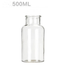 Hydroponic Plant Glass Bottle Living Room Decorations