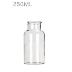 Hydroponic Plant Glass Bottle Living Room Decorations