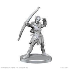 Pathfinder: Deep Cuts - Elf Hunter & Catfolk Bandit