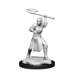 Critical Role: Half-Elf Echo Knight and Echo Female