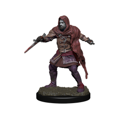 Critical Role: Hollow One Rogue and Sorceror Male