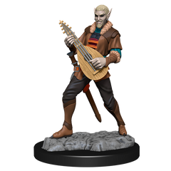 Critical Role: Pallid Elf Rogue and Bard Male