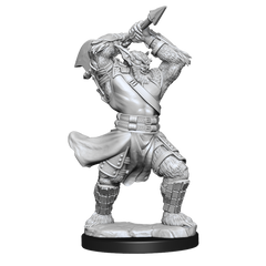 Critical Role: Bugbear Fighter Male