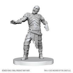 D&D: Nolzur's Marvelous Unpainted Miniatures - Swarm of Rot Grubs and Rot Grub Victim