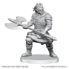 D&D: Nolzur's Marvelous Unpainted Miniatures - Assassin & Berserker