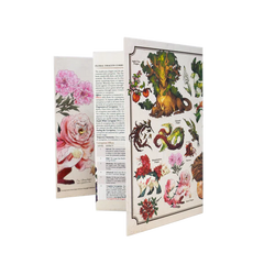The Field Guide to Floral Dragons - Game Master Screen