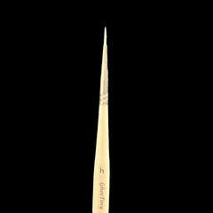 SleepwalkAir: Ghost Brush - Ghostiny - H - Round