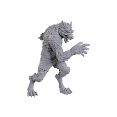 D&D: Critical Role Miniatures - Chetney Pock O'Pea & Werewolf
