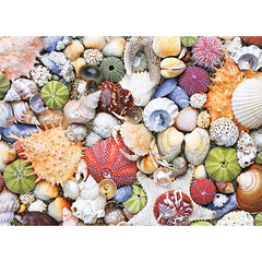 Puzzle: Seashore