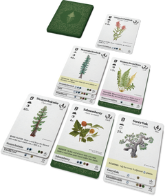 Reforest: Plants of the Pacific Northwest Coast