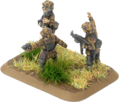 Flames of War: German Waffen-SS Panther Kampgruppe Army (Late War)
