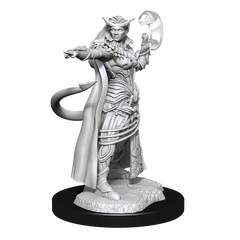 D&D: Nolzur's Marvelous Miniatures - Tiefling Sorcerer Female