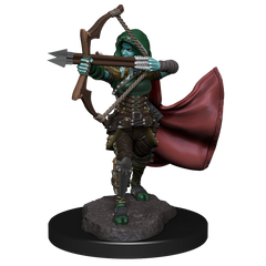 D&D: Nolzur's Marvelous Miniatures - Air Genasi Female