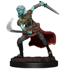 D&D: Nolzur's Marvelous Miniatures - Air Genasi Female