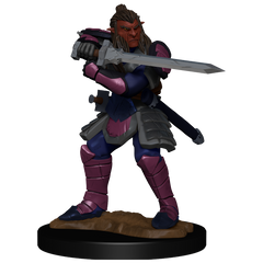 D&D: Nolzur's Marvelous Miniatures - Hobgoblin Fighter Male & Hobgoblin Wizard Female