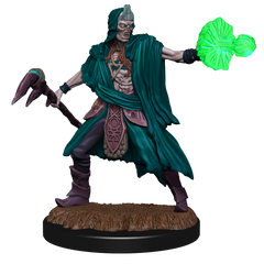 D&D: Nolzur's Marvelous Miniatures - Allip & Deathlock
