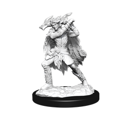 D&D: Nolzur's Marvelous Miniatures - Winter Eladrin & Spring Eladrin