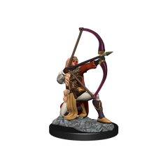 Pathfinder: Deep Cuts - Human Fighter Female