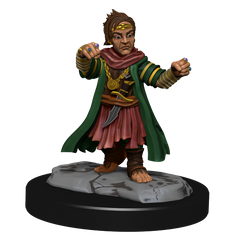 Pathfinder: Deep Cuts - Halfing Monk Male